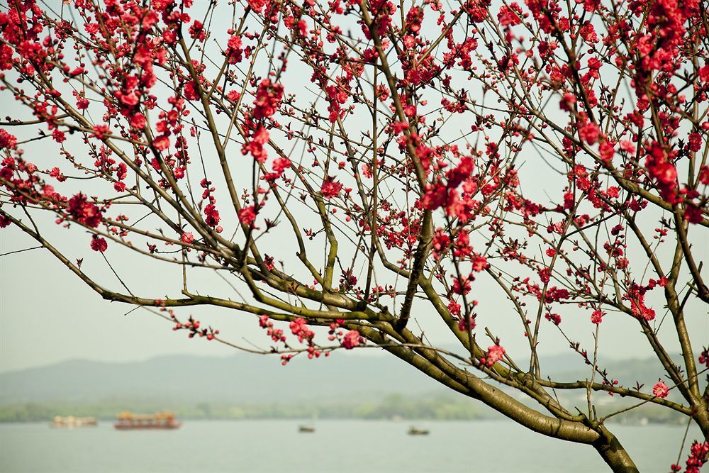 Liuying Hotel West Lake Hangzhou Exterior photo